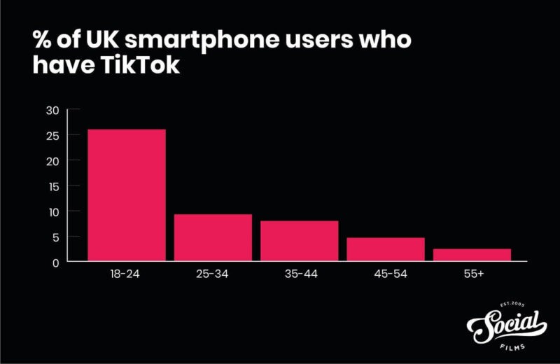 TikTok User Demographics